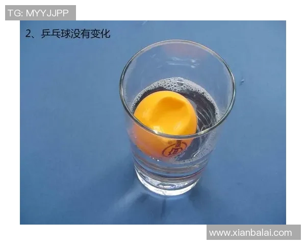 科学乒乓球力量训练全攻略助你提升竞技水平与运动表现