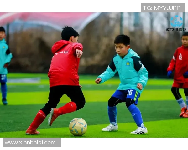 南京足球队在最新足球状态排行榜中荣登第七名展现出强劲实力与潜力