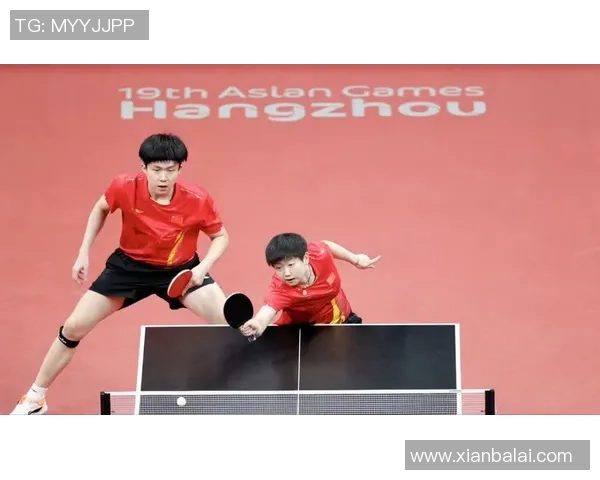 武汉乒乓球队的崛起与发展探秘展现乒乓球运动的魅力与力量